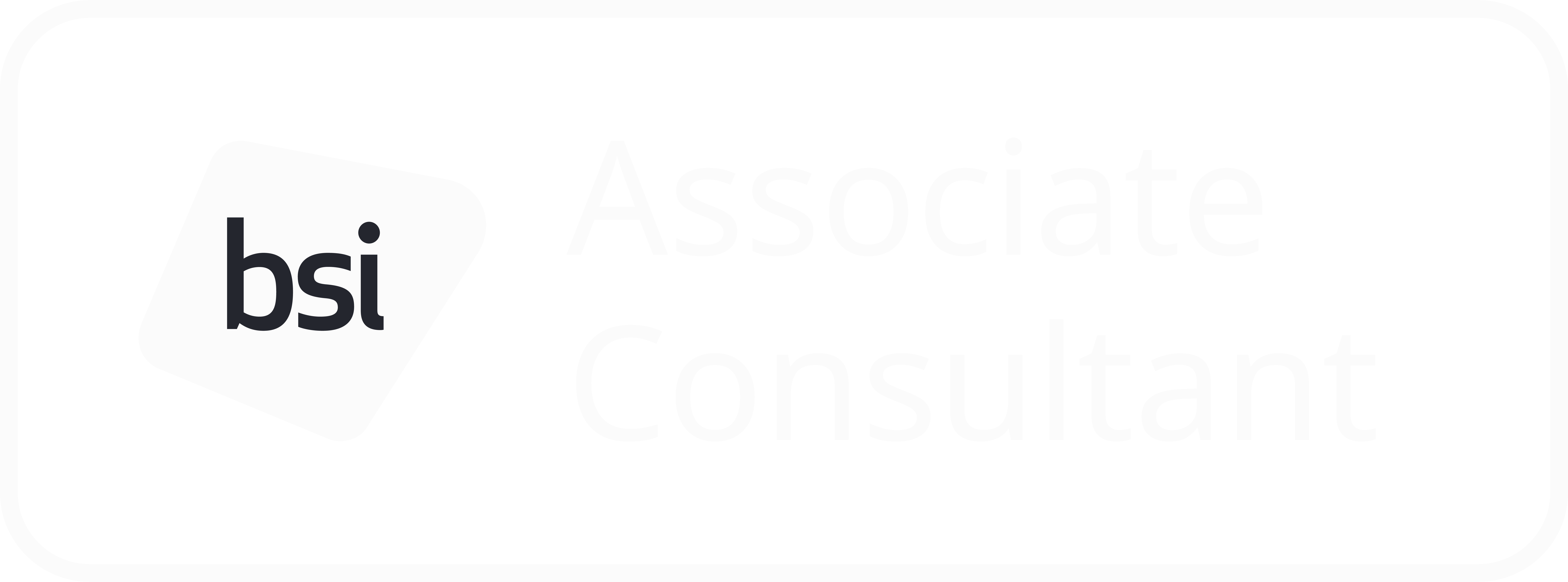 BSI Associate Consultant